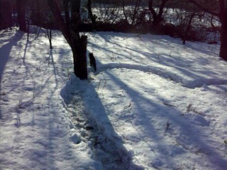 Студия ЖК, фильм №118 - Алёне в день её рождения (01.03.2013 (это дата выхода фильма, Алёна именинница днём позднее))